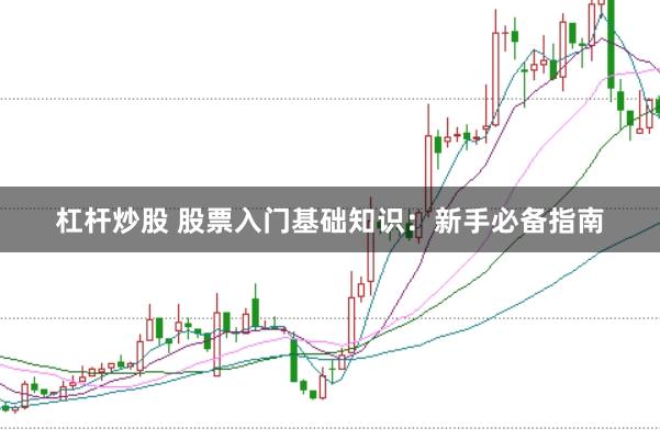 杠杆炒股 股票入门基础知识：新手必备指南