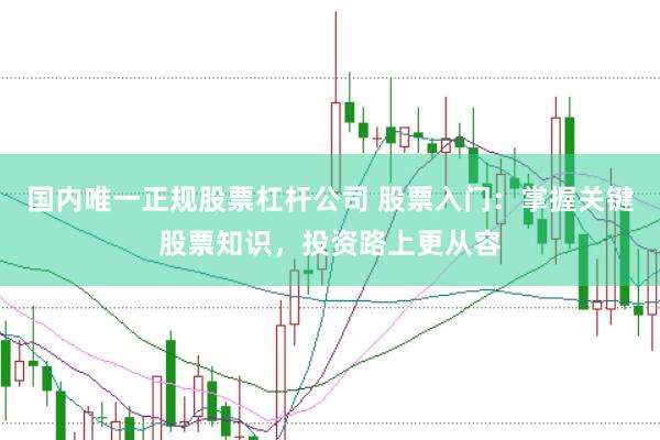 国内唯一正规股票杠杆公司 股票入门：掌握关键股票知识，投资路上更从容