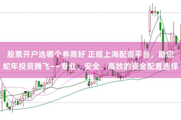 股票开户选哪个券商好 正规上海配资平台，助您蛇年投资腾飞——专业、安全、高效的资金配置选择