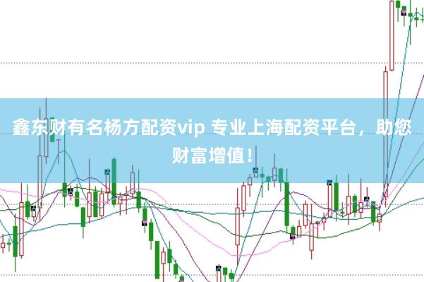 鑫东财有名杨方配资vip 专业上海配资平台，助您财富增值！