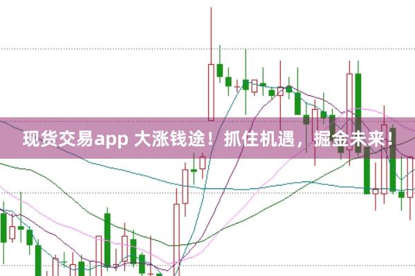 现货交易app 大涨钱途！抓住机遇，掘金未来！