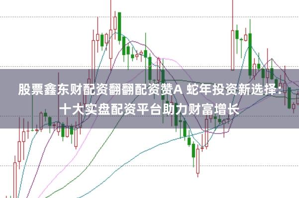 股票鑫东财配资翻翻配资赞A 蛇年投资新选择：十大实盘配资平台助力财富增长
