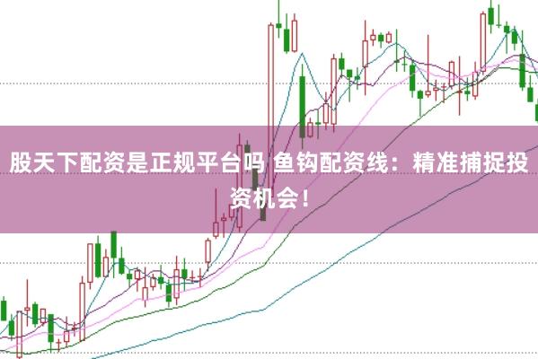 股天下配资是正规平台吗 鱼钩配资线：精准捕捉投资机会！