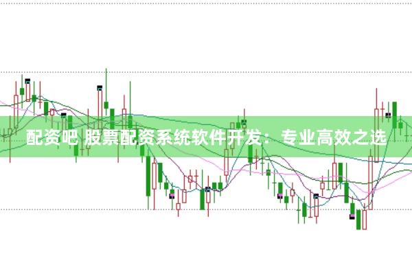 配资吧 股票配资系统软件开发：专业高效之选