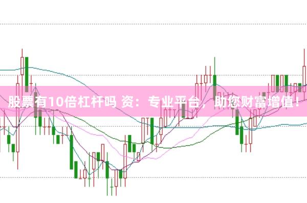 股票有10倍杠杆吗 资：专业平台，助您财富增值！