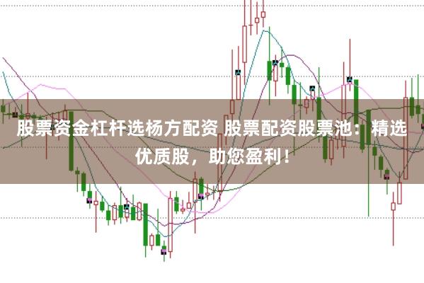 股票资金杠杆选杨方配资 股票配资股票池：精选优质股，助您盈利！