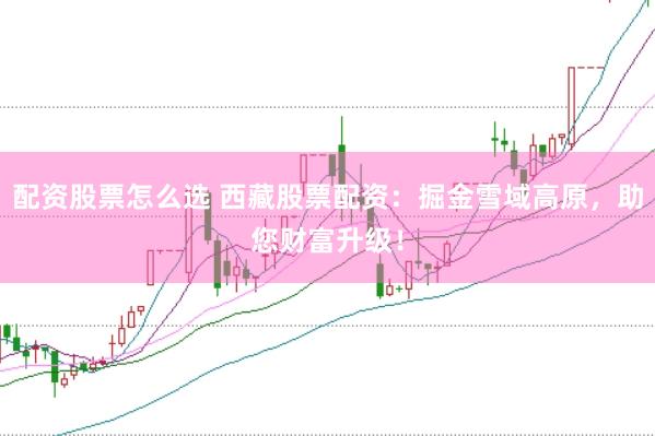 配资股票怎么选 西藏股票配资：掘金雪域高原，助您财富升级！