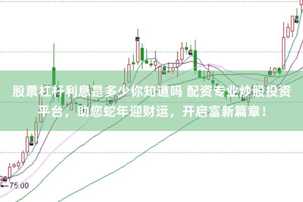 股票杠杆利息是多少你知道吗 配资专业炒股投资平台，助您蛇年迎财运，开启富新篇章！