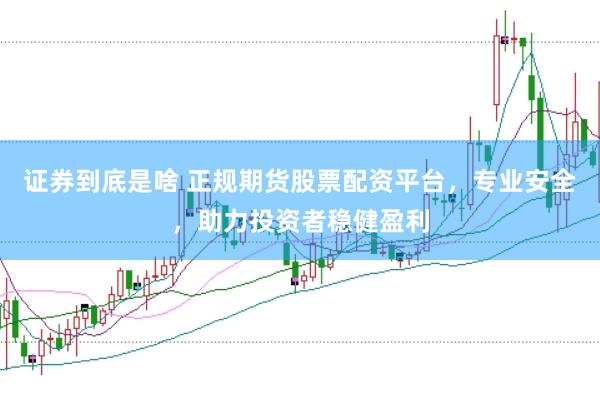 证券到底是啥 正规期货股票配资平台，专业安全，助力投资者稳健盈利