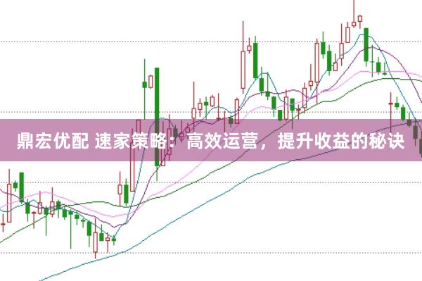 鼎宏优配 速家策略：高效运营，提升收益的秘诀