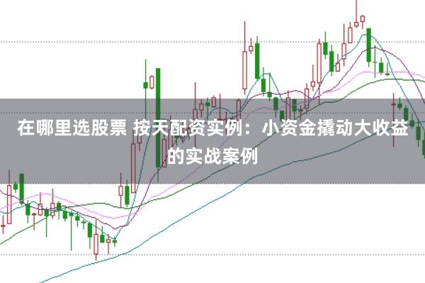在哪里选股票 按天配资实例：小资金撬动大收益的实战案例
