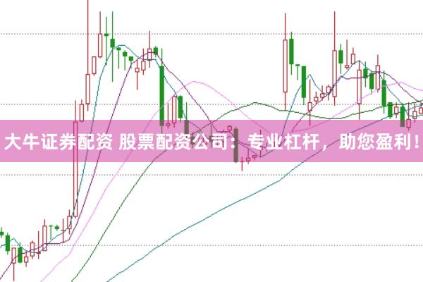 大牛证券配资 股票配资公司：专业杠杆，助您盈利！