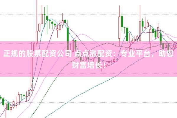 正规的股票配资公司 点点涨配资：专业平台，助您财富增长！