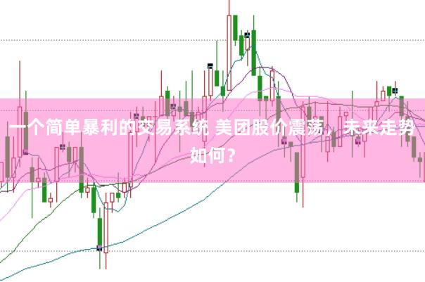 一个简单暴利的交易系统 美团股价震荡，未来走势如何？