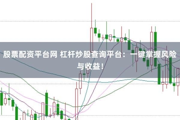 股票配资平台网 杠杆炒股查询平台：一键掌握风险与收益！