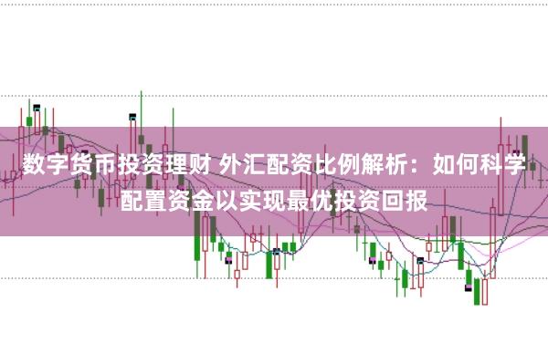 数字货币投资理财 外汇配资比例解析：如何科学配置资金以实现最优投资回报