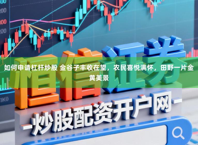 如何申请杠杆炒股 金谷子丰收在望,农民喜悦满怀,田野一片金黄美景