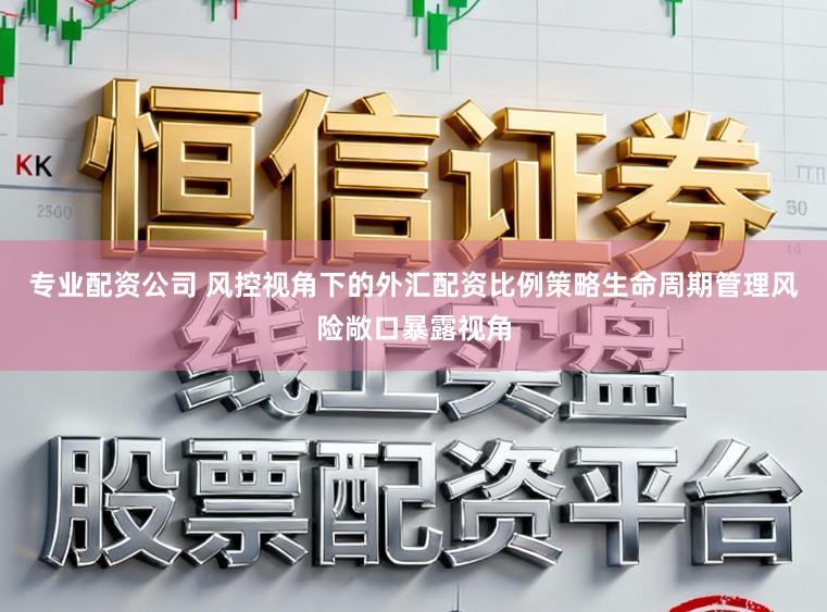 专业配资公司 风控视角下的外汇配资比例策略生命周期管理风险敞口暴露视角